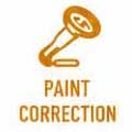 Paint Correction Training